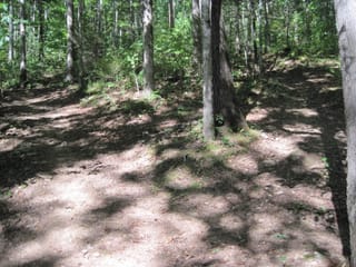 Hazel Creek Hike - Great Smoky Mountains, NC 16