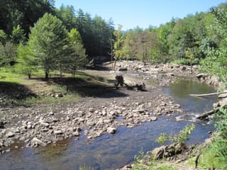 Hazel Creek Hike - Great Smoky Mountains, NC 17