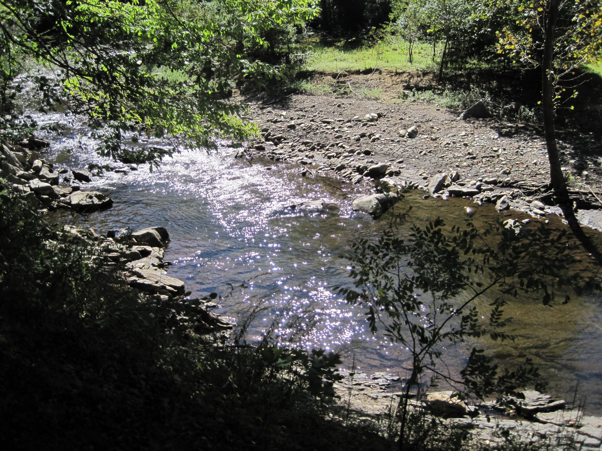 Hazel Creek Hike - Great Smoky Mountains, NC 18