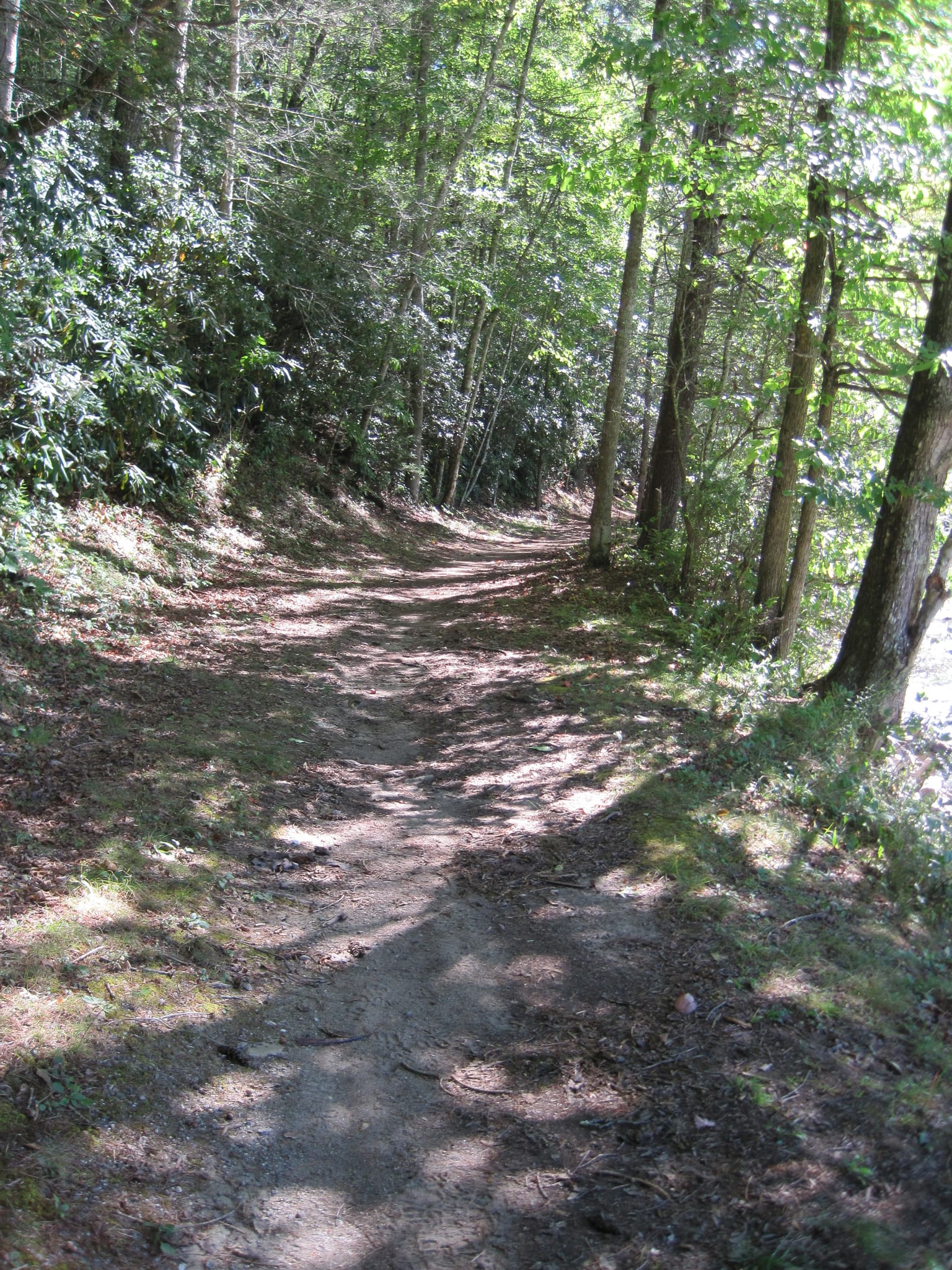 Hazel Creek Hike - Great Smoky Mountains, NC 199