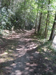 Hazel Creek Hike - Great Smoky Mountains, NC 199