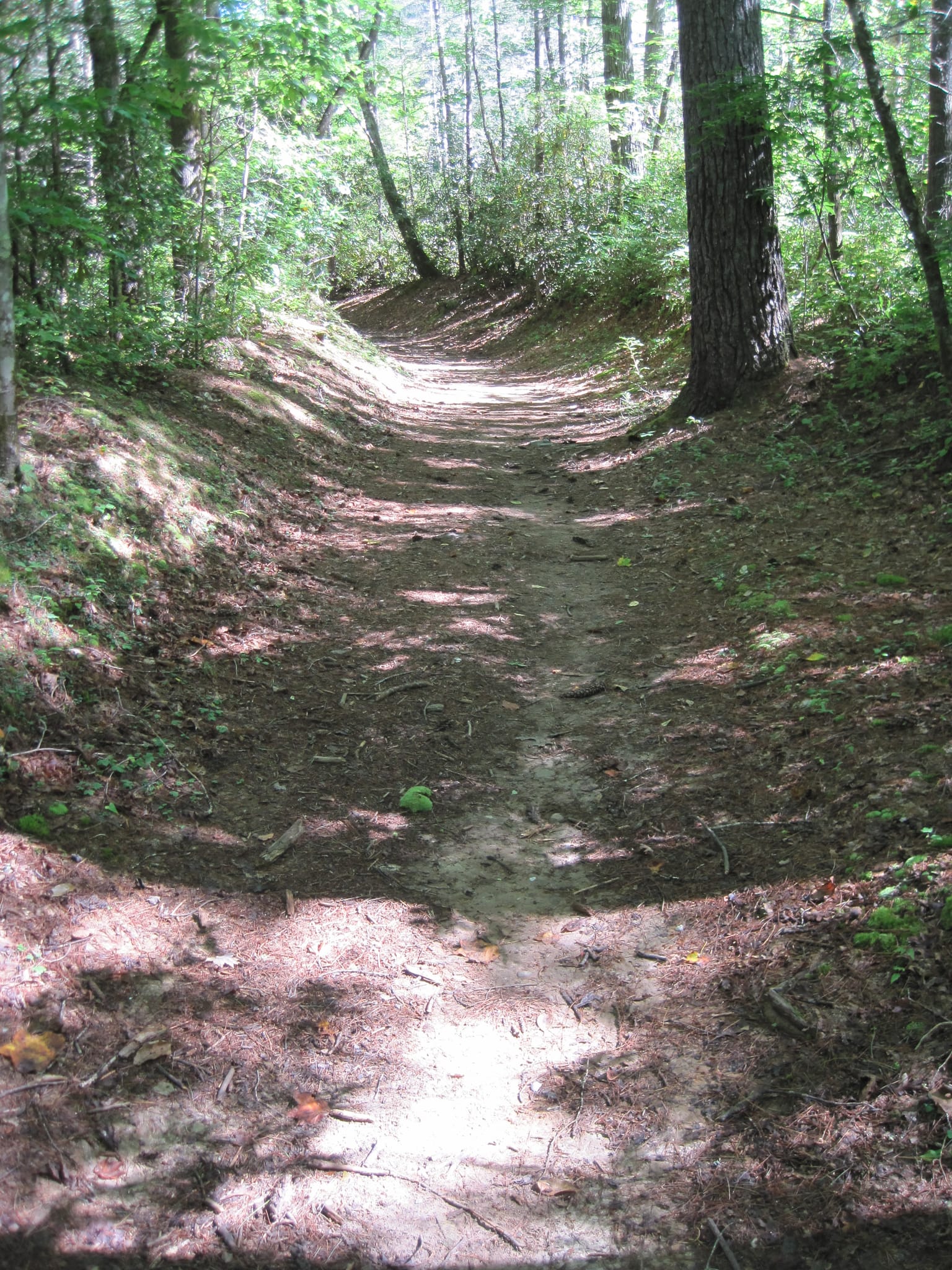 Hazel Creek Hike - Great Smoky Mountains, NC 200