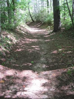 Hazel Creek Hike - Great Smoky Mountains, NC 200