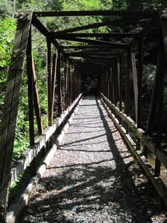 Hazel Creek Hike - Great Smoky Mountains, NC 202