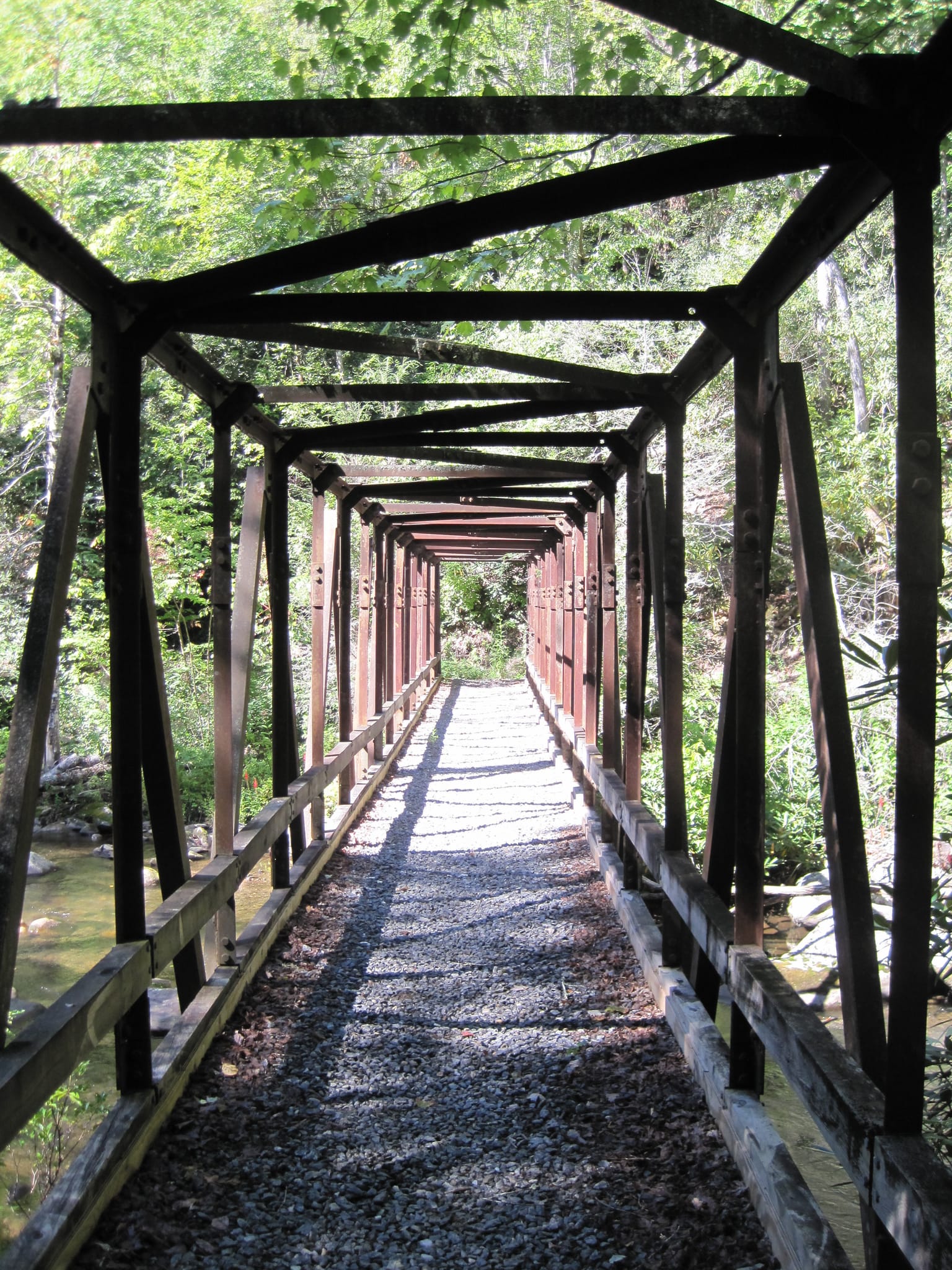 Hazel Creek Hike - Great Smoky Mountains, NC 205