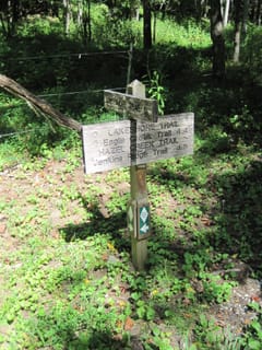 Hazel Creek Hike - Great Smoky Mountains, NC 208