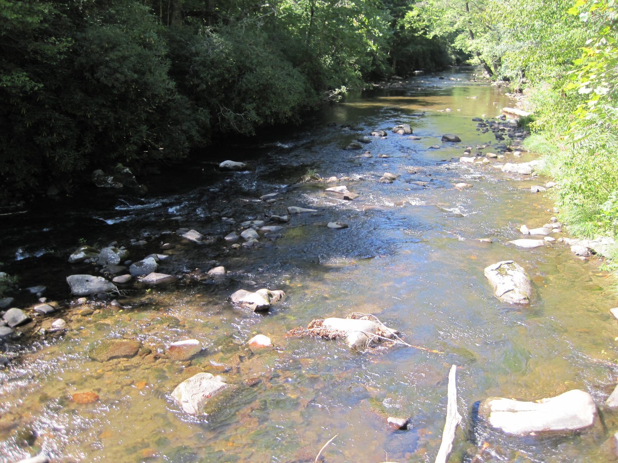 Hazel Creek Hike - Great Smoky Mountains, NC 27