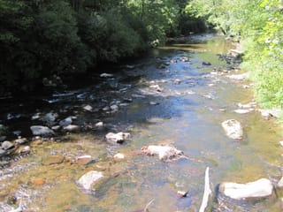 Hazel Creek Hike - Great Smoky Mountains, NC 27