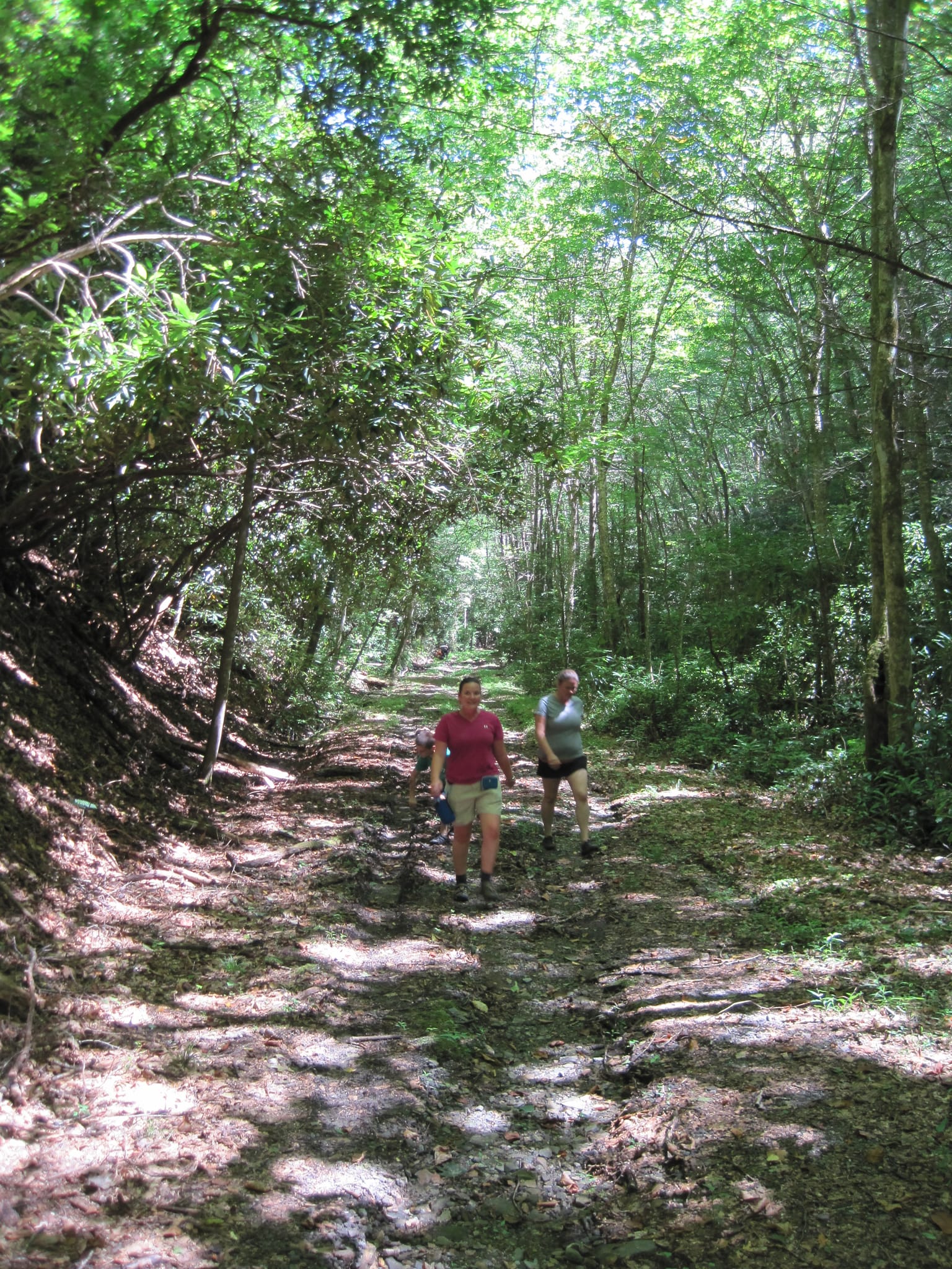 Hazel Creek Hike - Great Smoky Mountains, NC 209