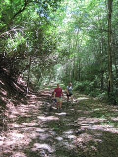 Hazel Creek Hike - Great Smoky Mountains, NC 209