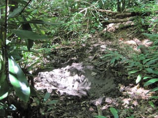 Hazel Creek Hike - Great Smoky Mountains, NC 33