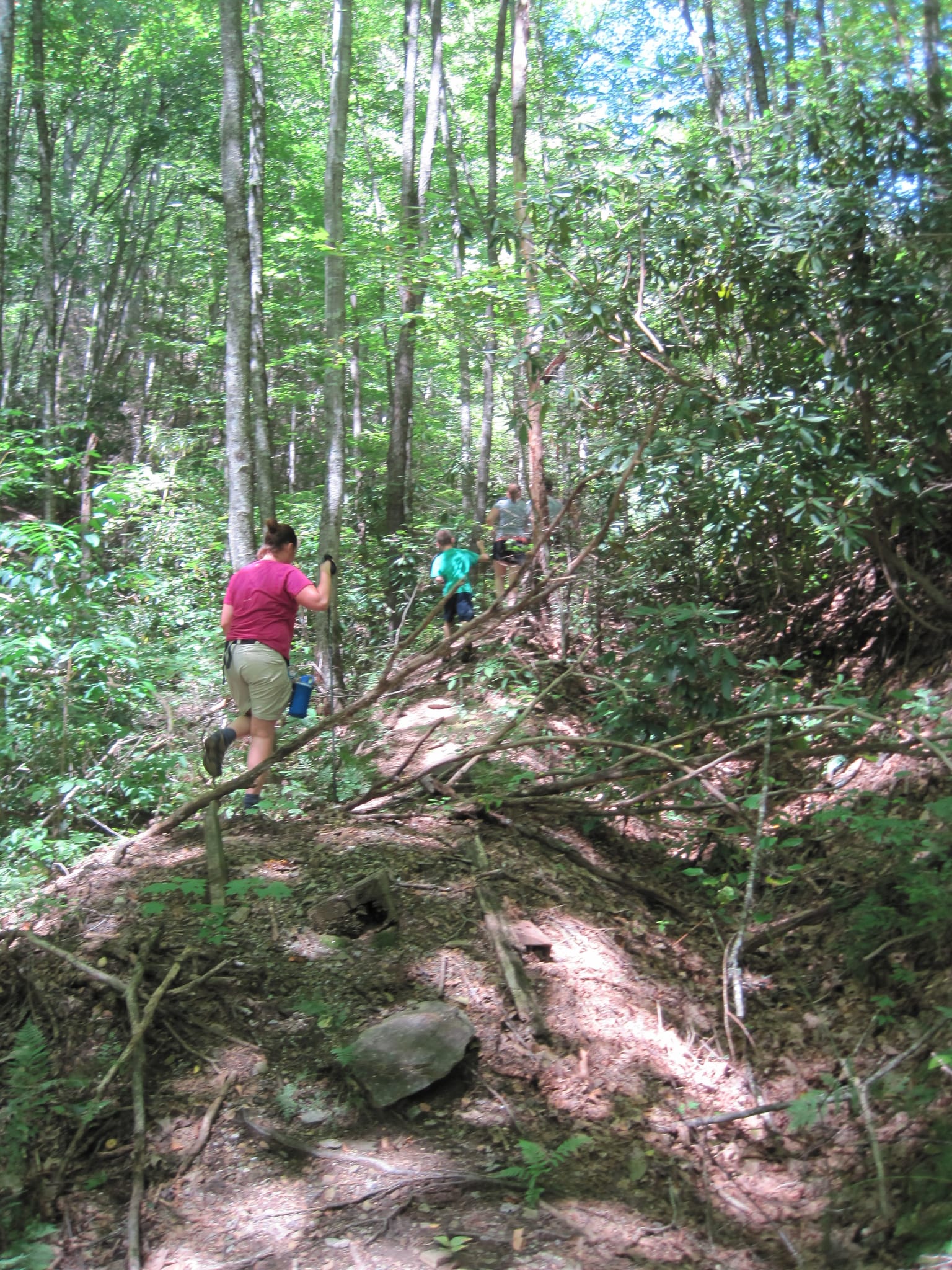 Hazel Creek Hike - Great Smoky Mountains, NC 212