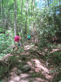 Hazel Creek Hike - Great Smoky Mountains, NC 212