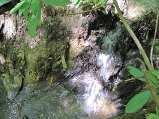 Hazel Creek Hike - Great Smoky Mountains, NC 35