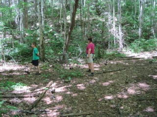 Hazel Creek Hike - Great Smoky Mountains, NC 37