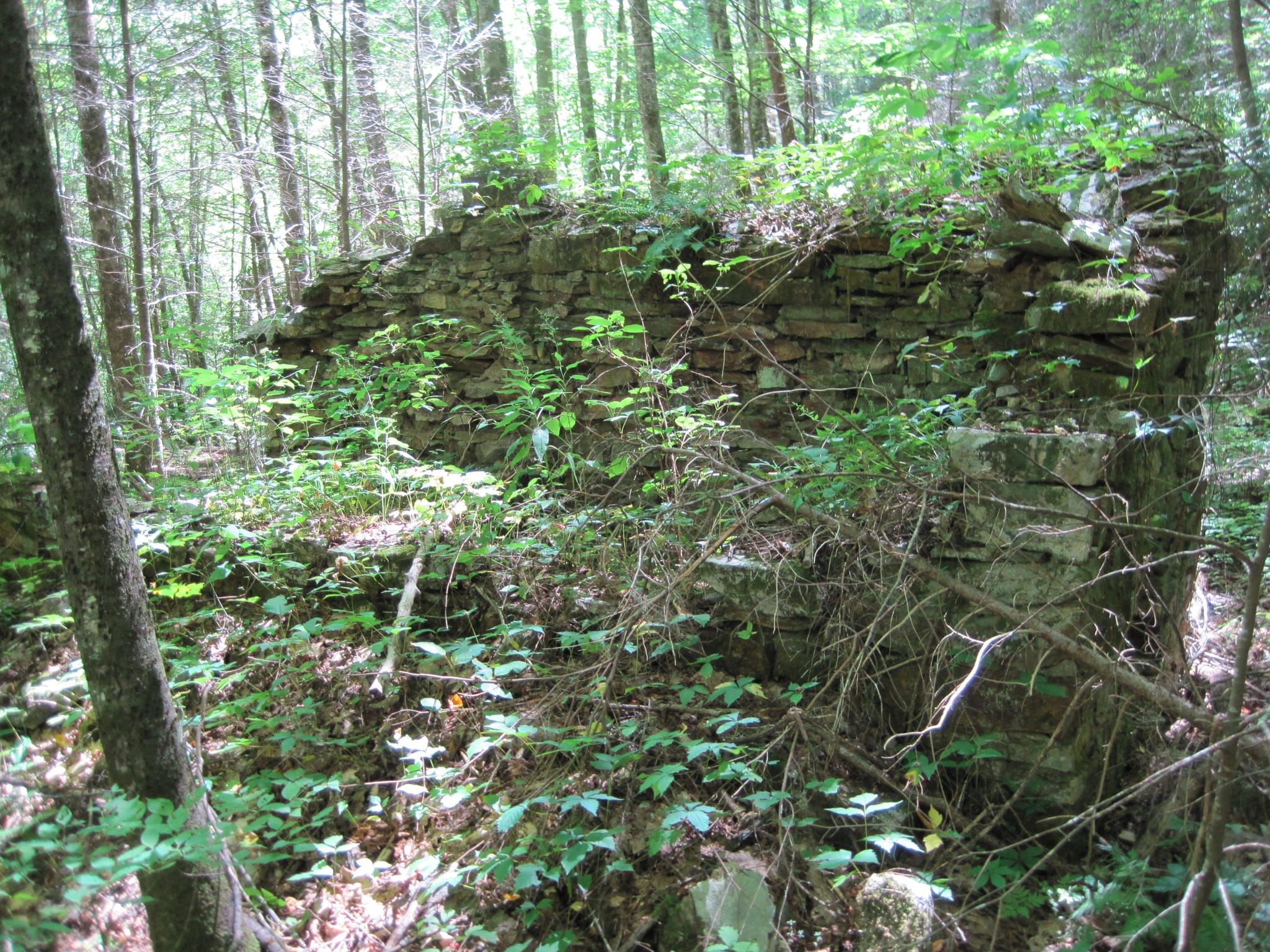 Hazel Creek Hike - Great Smoky Mountains, NC 41