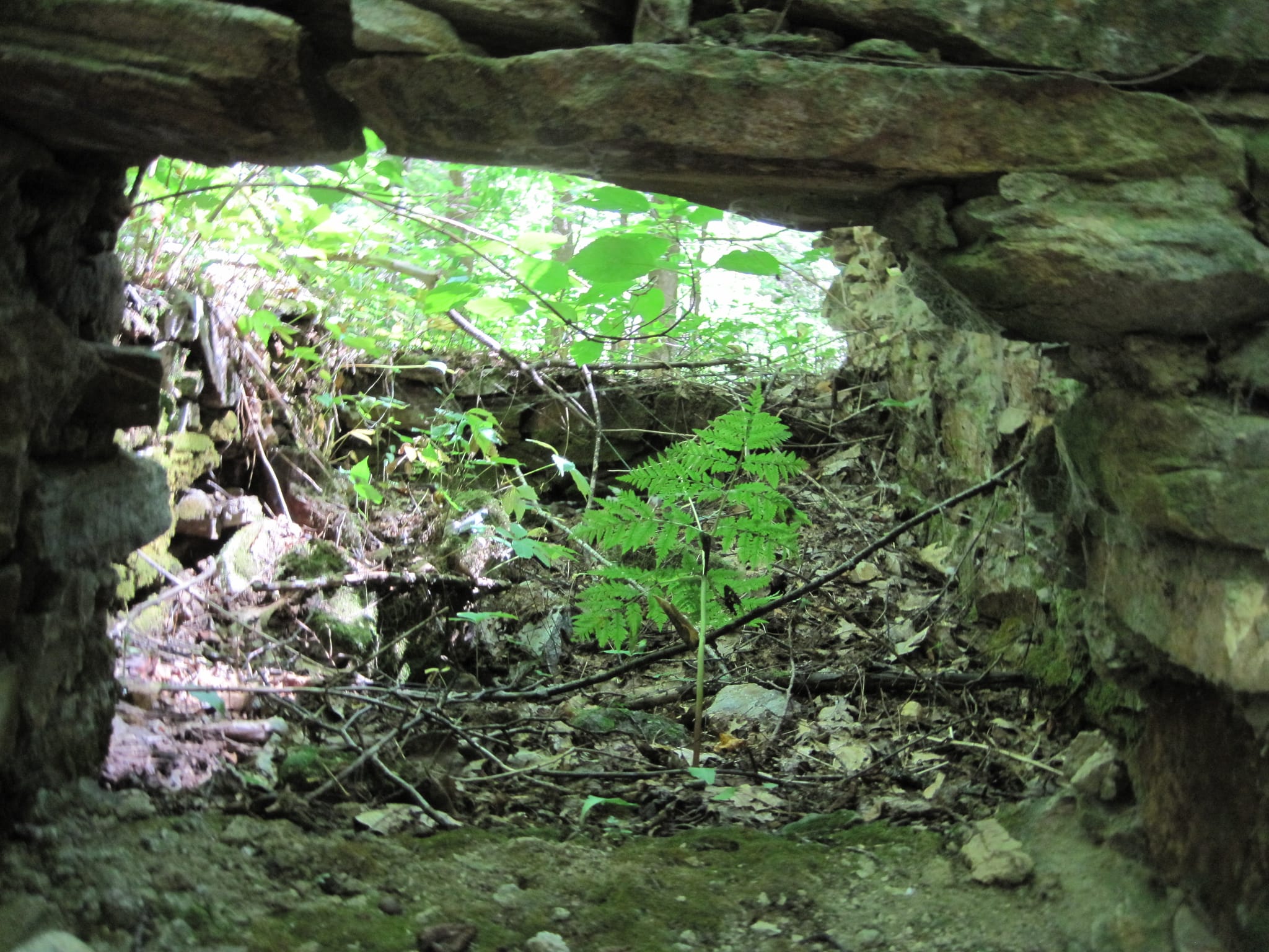 Hazel Creek Hike - Great Smoky Mountains, NC 42