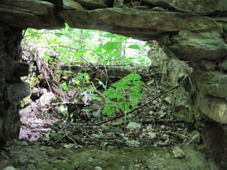 Hazel Creek Hike - Great Smoky Mountains, NC 42