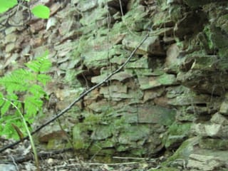 Hazel Creek Hike - Great Smoky Mountains, NC 44
