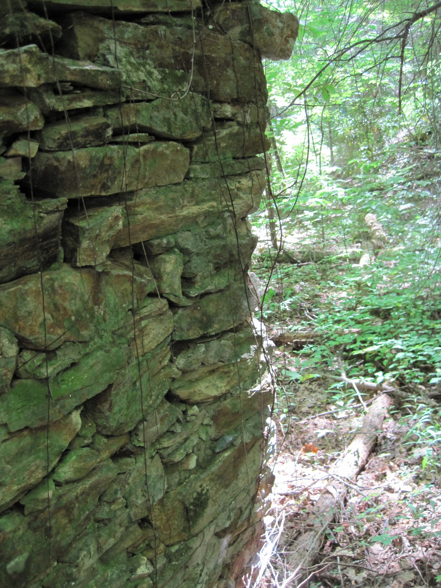 Hazel Creek Hike - Great Smoky Mountains, NC 217
