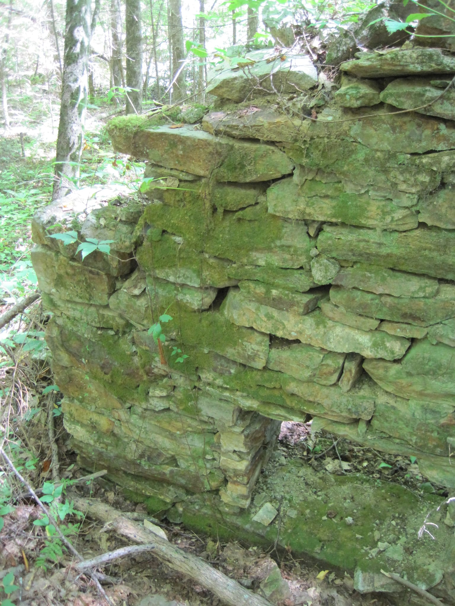 Hazel Creek Hike - Great Smoky Mountains, NC 219