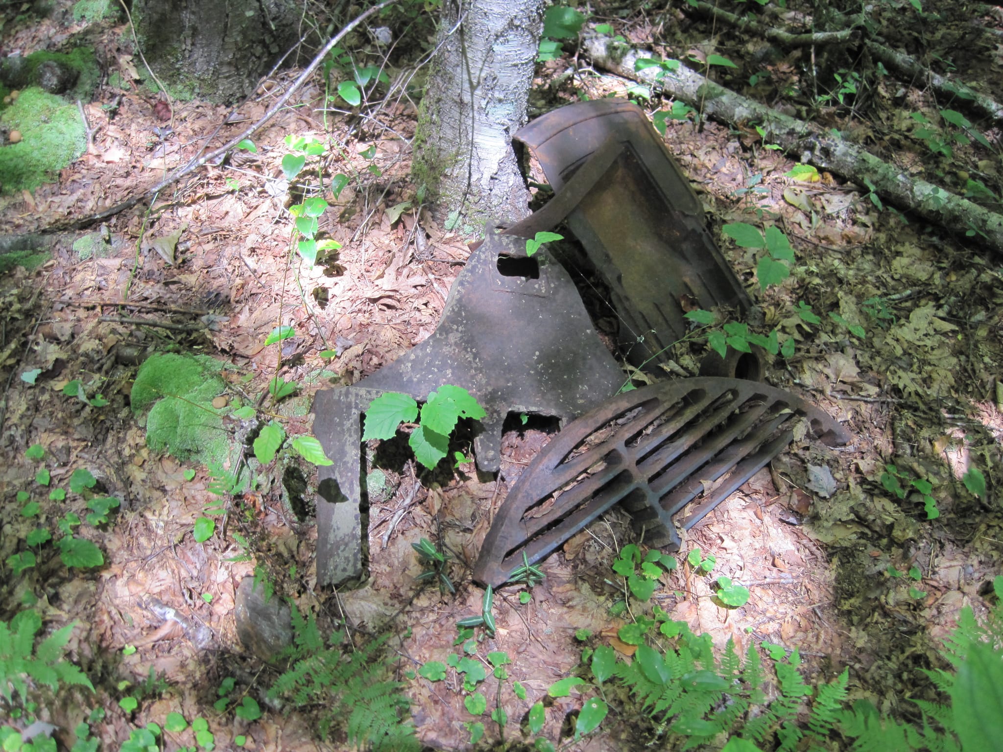 Hazel Creek Hike - Great Smoky Mountains, NC 46