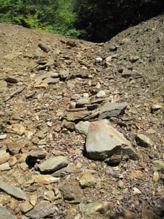 Hazel Creek Hike - Great Smoky Mountains, NC 220