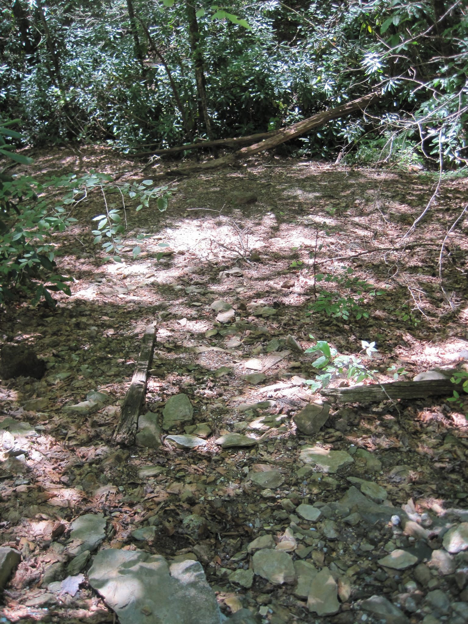 Hazel Creek Hike - Great Smoky Mountains, NC 221