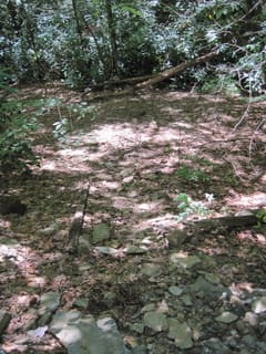 Hazel Creek Hike - Great Smoky Mountains, NC 221