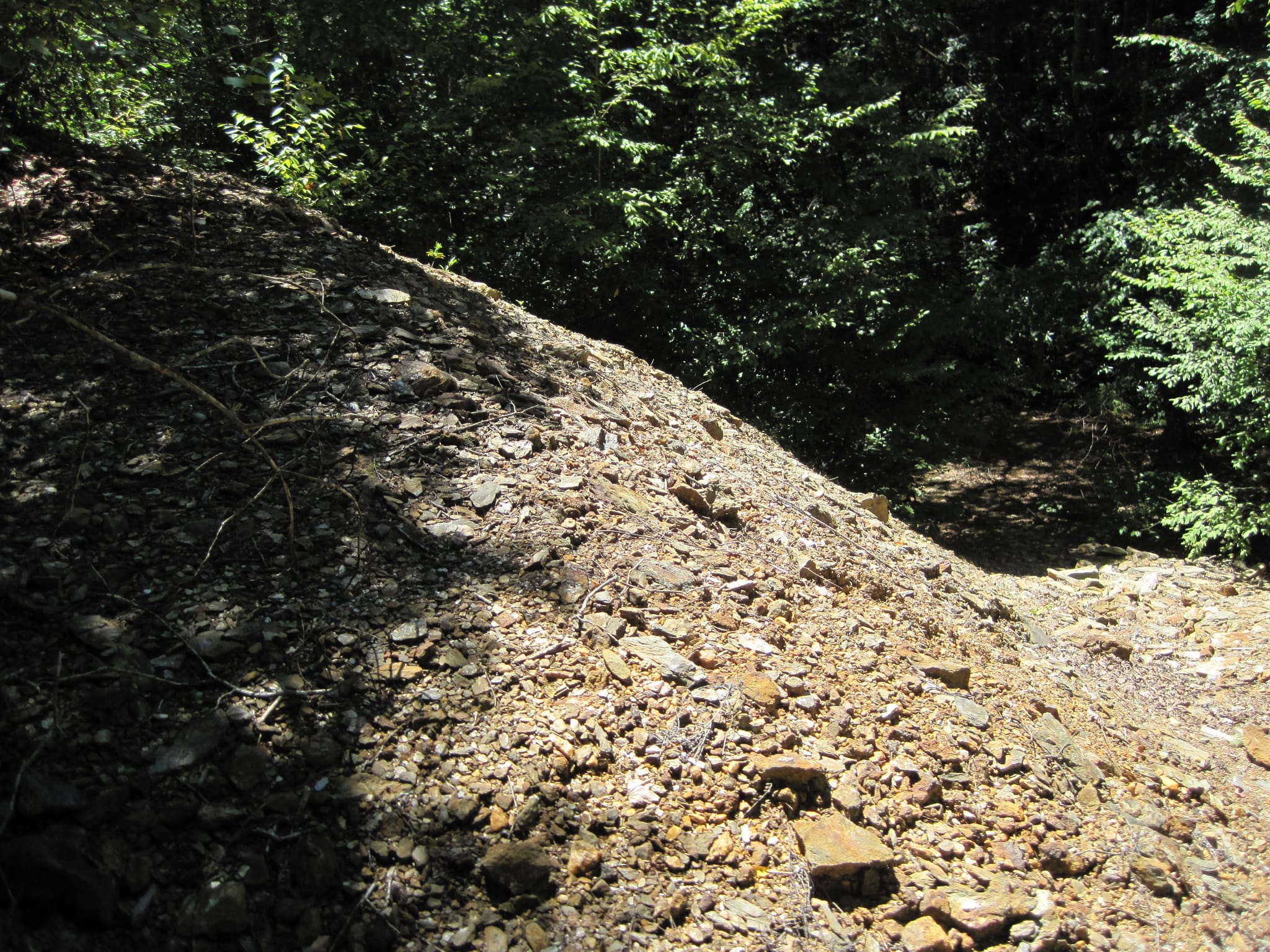 Hazel Creek Hike - Great Smoky Mountains, NC 48