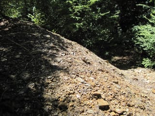 Hazel Creek Hike - Great Smoky Mountains, NC 48