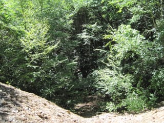 Hazel Creek Hike - Great Smoky Mountains, NC 50