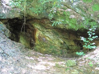 Hazel Creek Hike - Great Smoky Mountains, NC 51