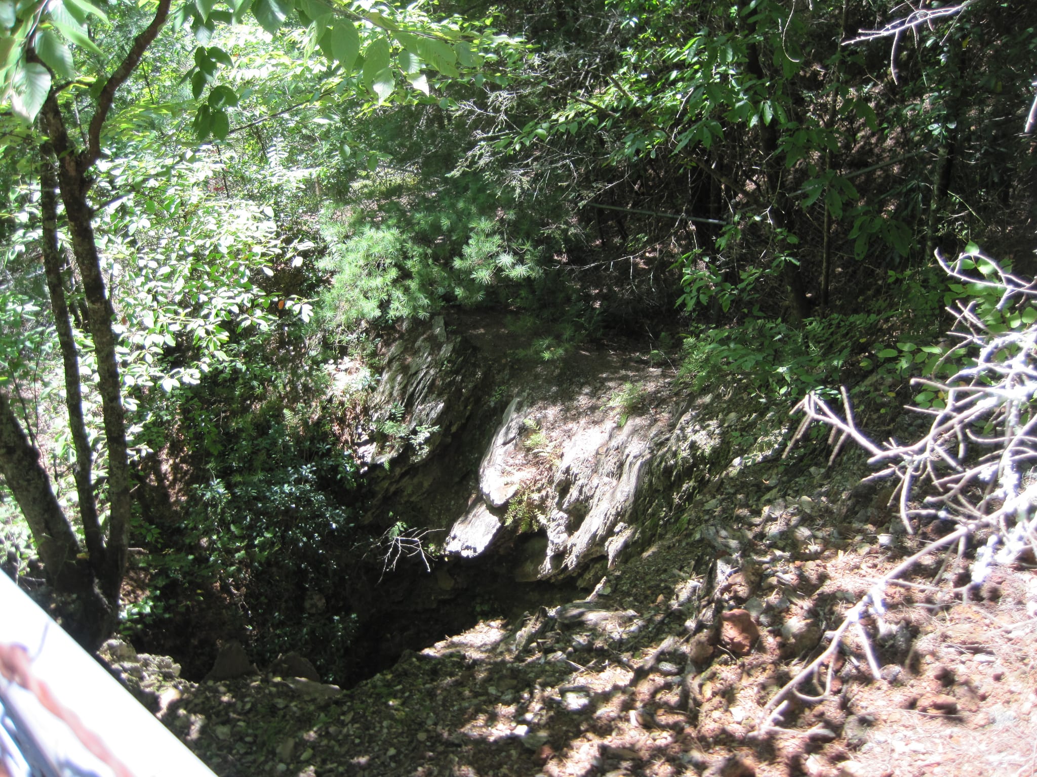 Hazel Creek Hike - Great Smoky Mountains, NC 62