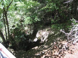 Hazel Creek Hike - Great Smoky Mountains, NC 62