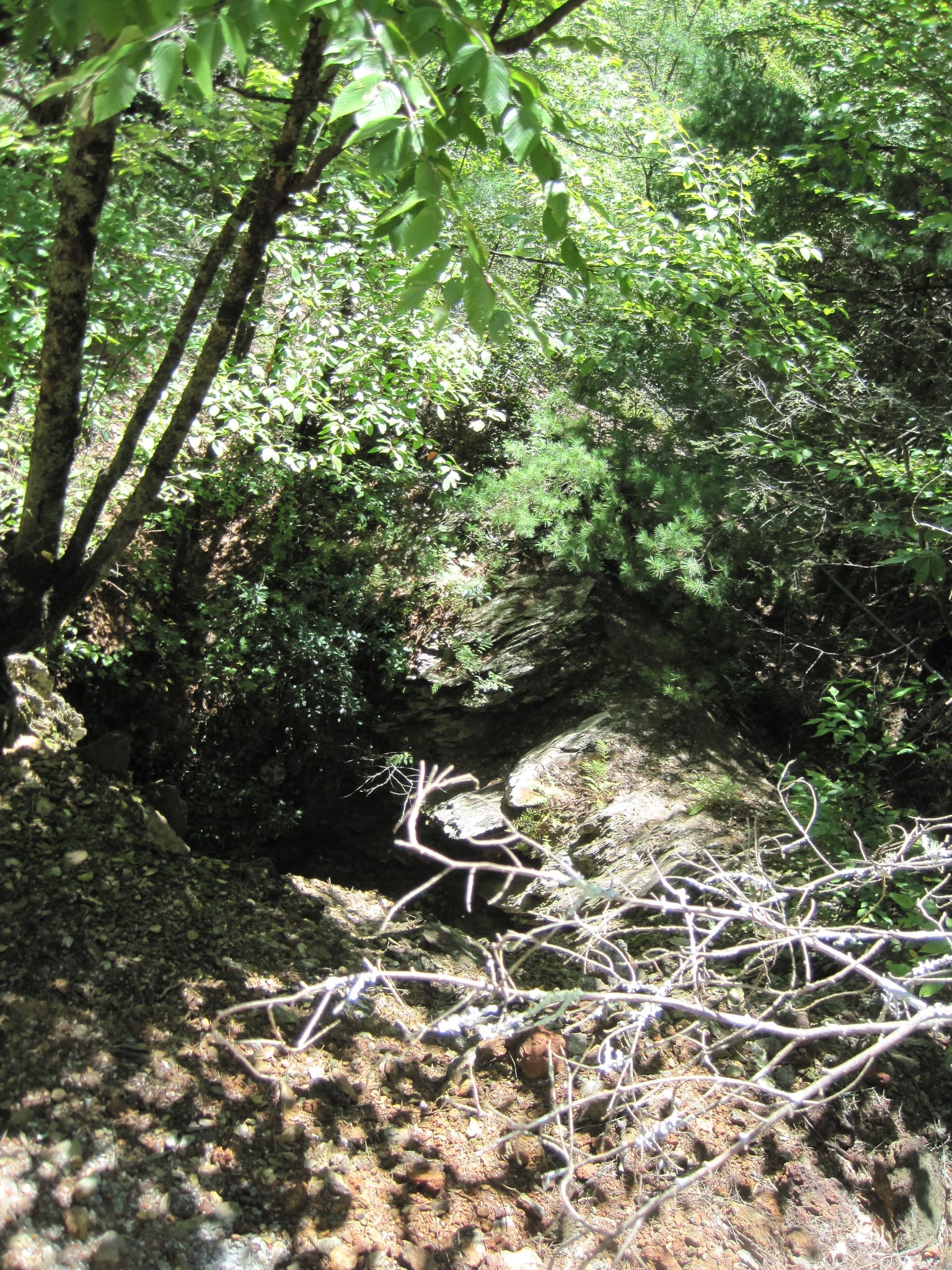 Hazel Creek Hike - Great Smoky Mountains, NC 224