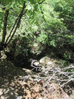 Hazel Creek Hike - Great Smoky Mountains, NC 224
