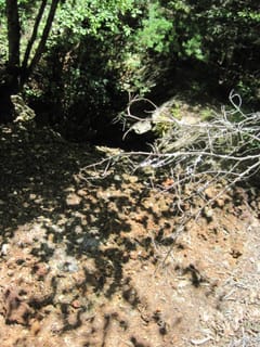Hazel Creek Hike - Great Smoky Mountains, NC 225