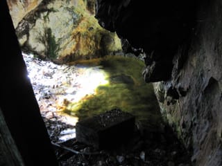 Hazel Creek Hike - Great Smoky Mountains, NC 72