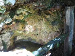 Hazel Creek Hike - Great Smoky Mountains, NC 79