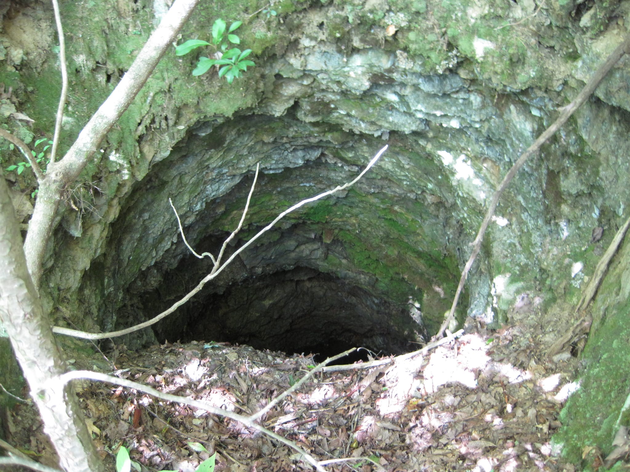 Hazel Creek Hike - Great Smoky Mountains, NC 82