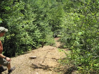 Hazel Creek Hike - Great Smoky Mountains, NC 83