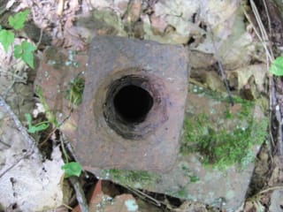 Hazel Creek Hike - Great Smoky Mountains, NC 85