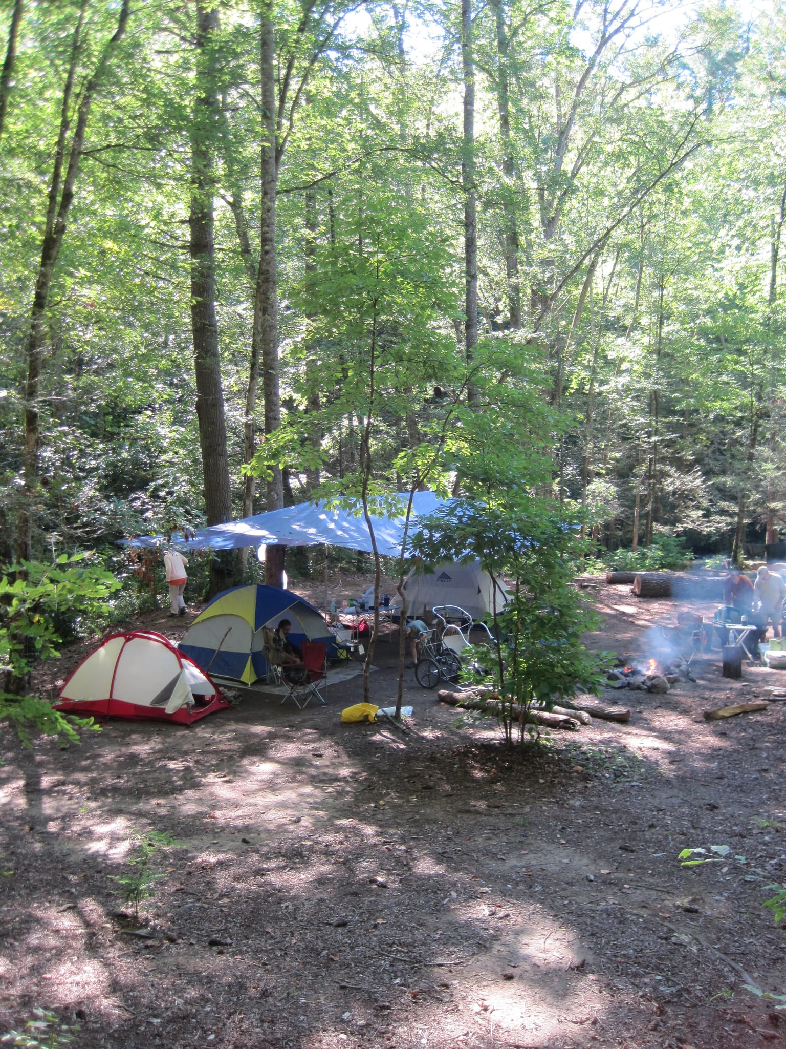 Hazel Creek Hike - Great Smoky Mountains, NC 237