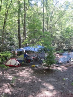 Hazel Creek Hike - Great Smoky Mountains, NC 237