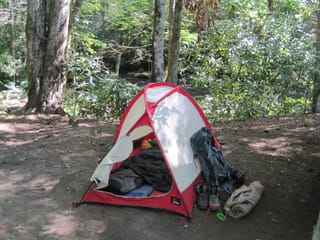 Hazel Creek Hike - Great Smoky Mountains, NC 108