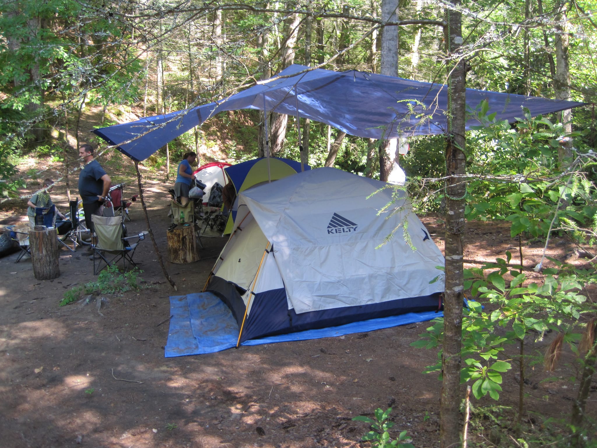 Hazel Creek Hike - Great Smoky Mountains, NC 116