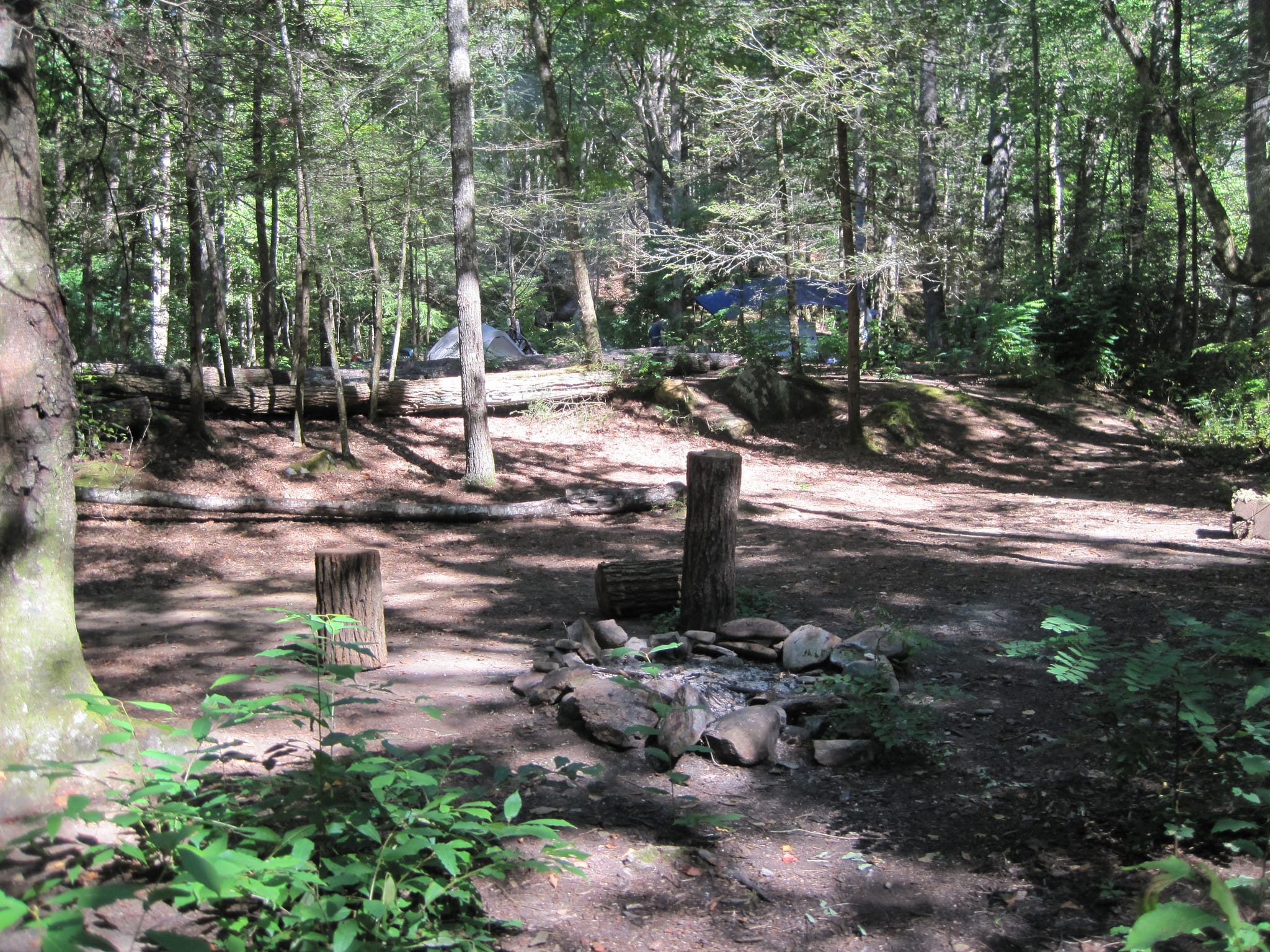 Hazel Creek Hike - Great Smoky Mountains, NC 118
