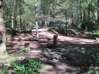Hazel Creek Hike - Great Smoky Mountains, NC 118