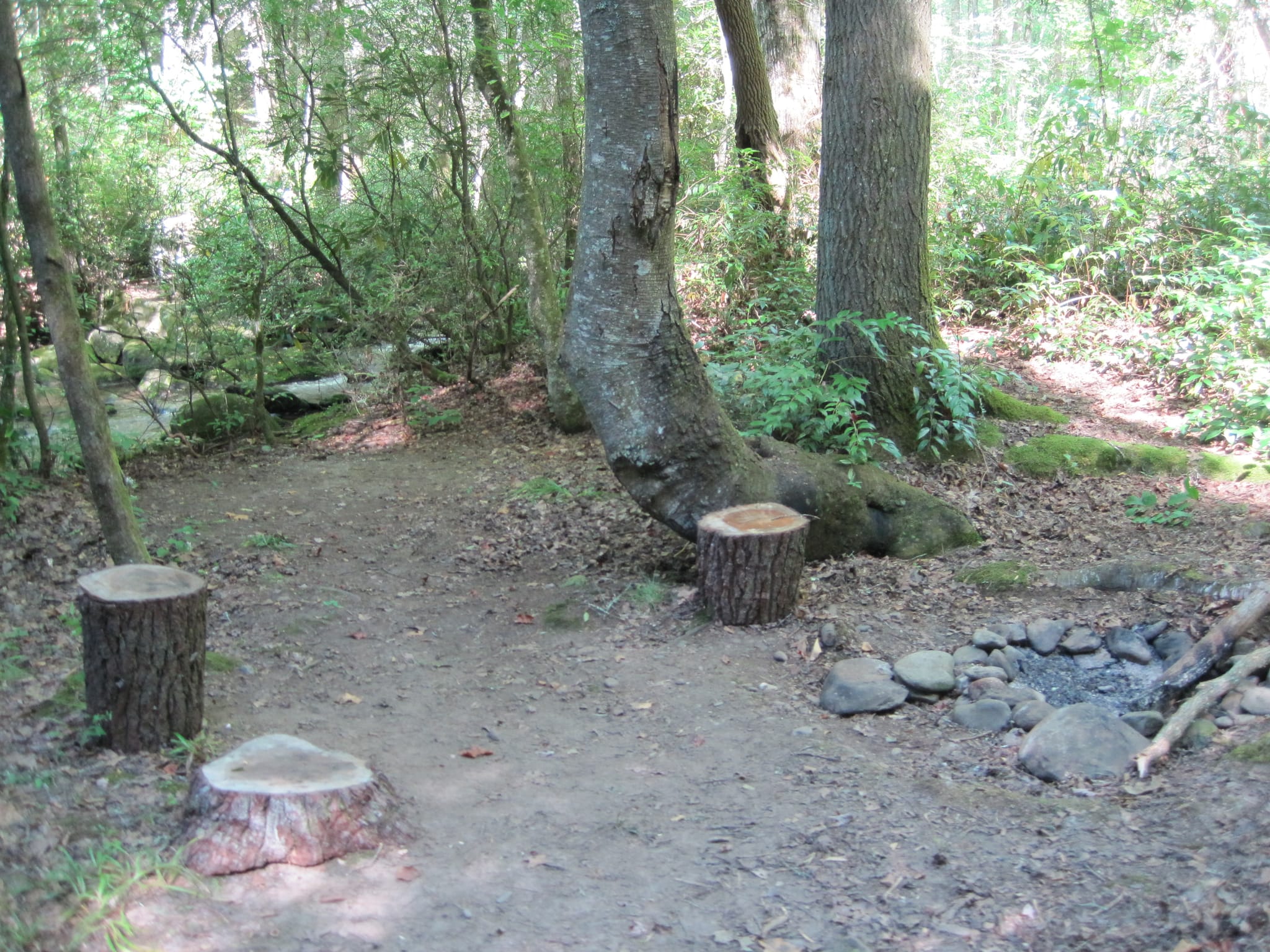 Hazel Creek Hike - Great Smoky Mountains, NC 123